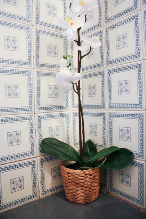 Salotto Vaticano B&B Roma Ngoại thất bức ảnh