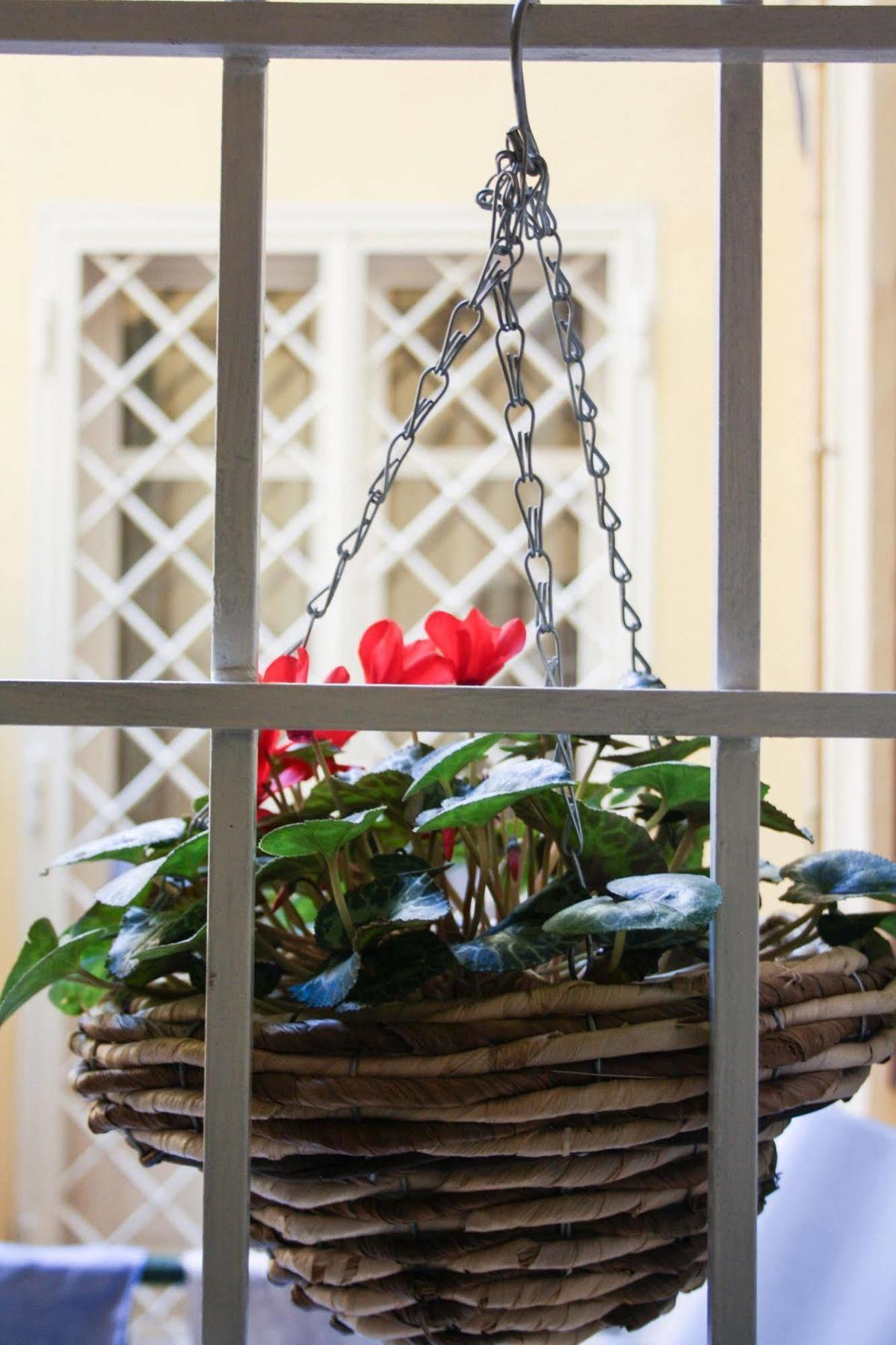 Salotto Vaticano B&B Roma Ngoại thất bức ảnh