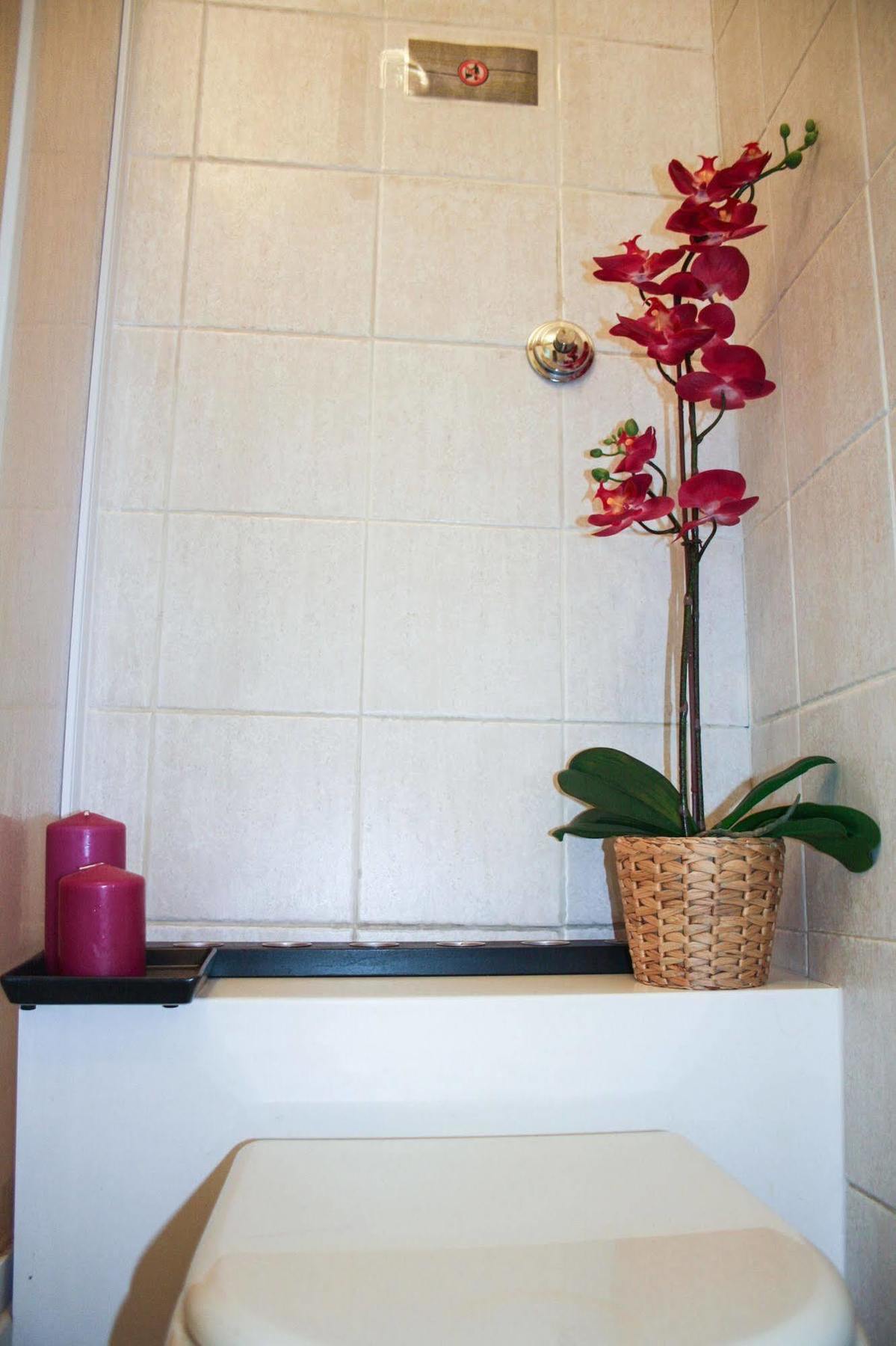 Salotto Vaticano B&B Roma Ngoại thất bức ảnh
